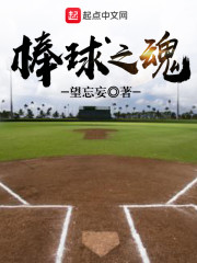 棒球之魂TXT下载"