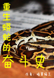 重生蟒蛇的奋斗史TXT下载"