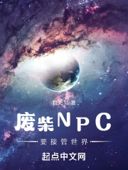 废柴NPC要接管世界TXT下载"