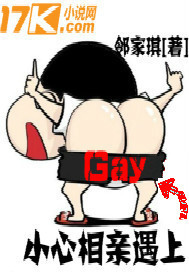 小心相亲遇上GayTXT下载"