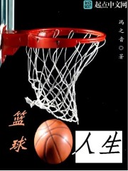 篮球，人生TXT下载"